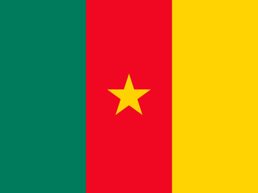 Flag of Cameroon