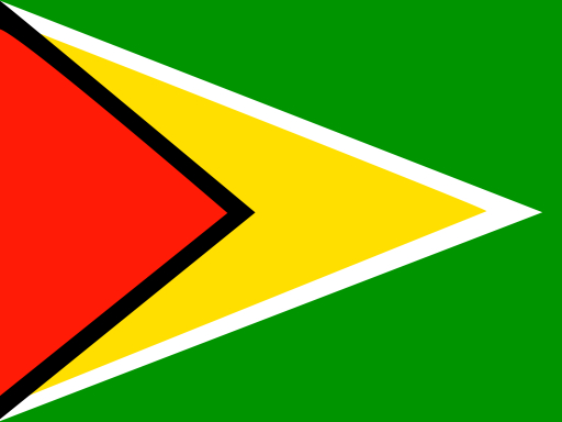 Flag of Guyana